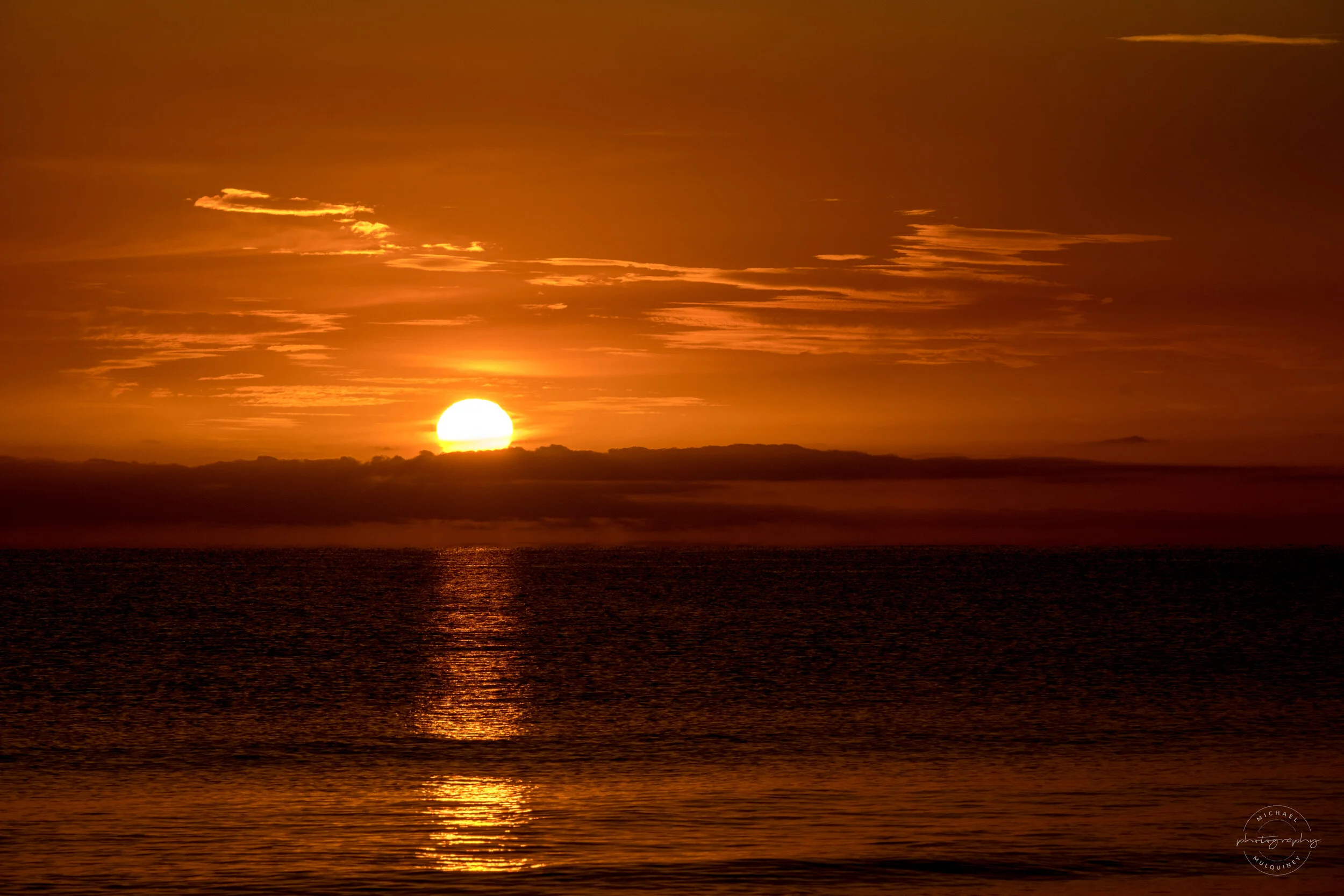 DSCF5712.jpg