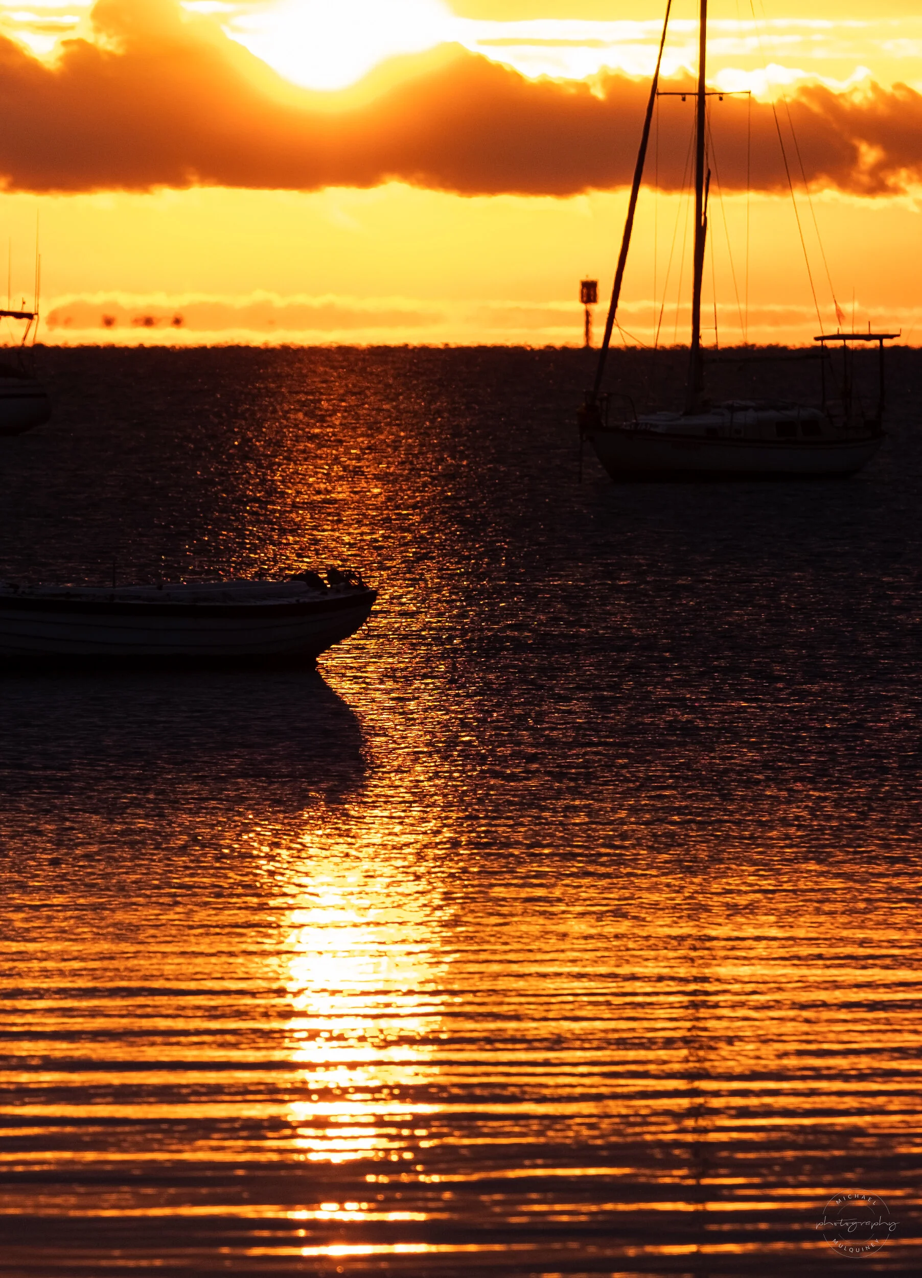 DSCF8412.jpg