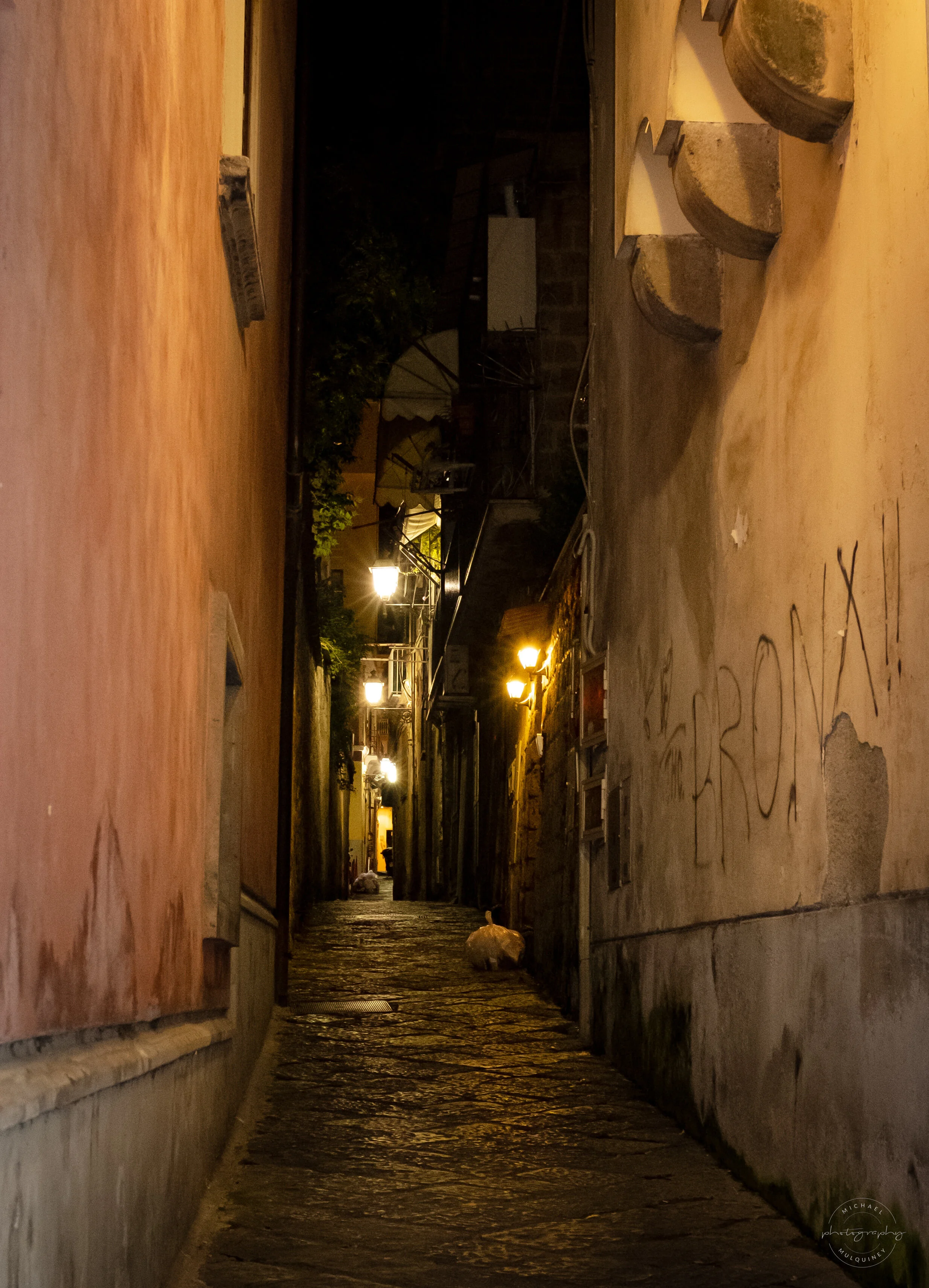 DSCF0744.jpg