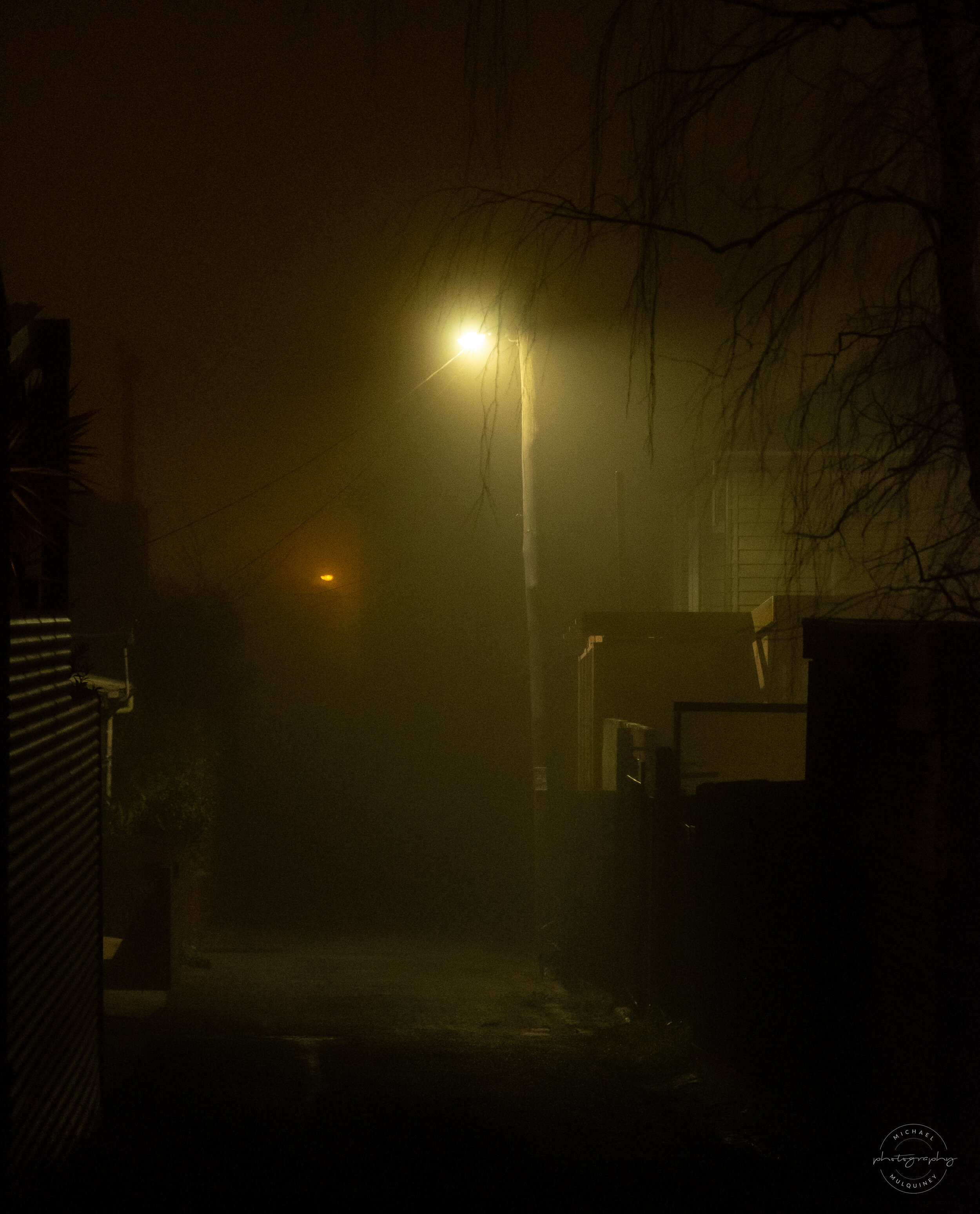 DSCF3759.jpg