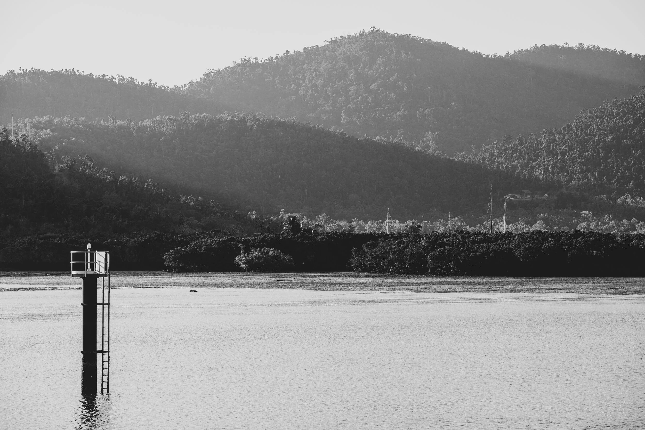 DSCF5101.jpg