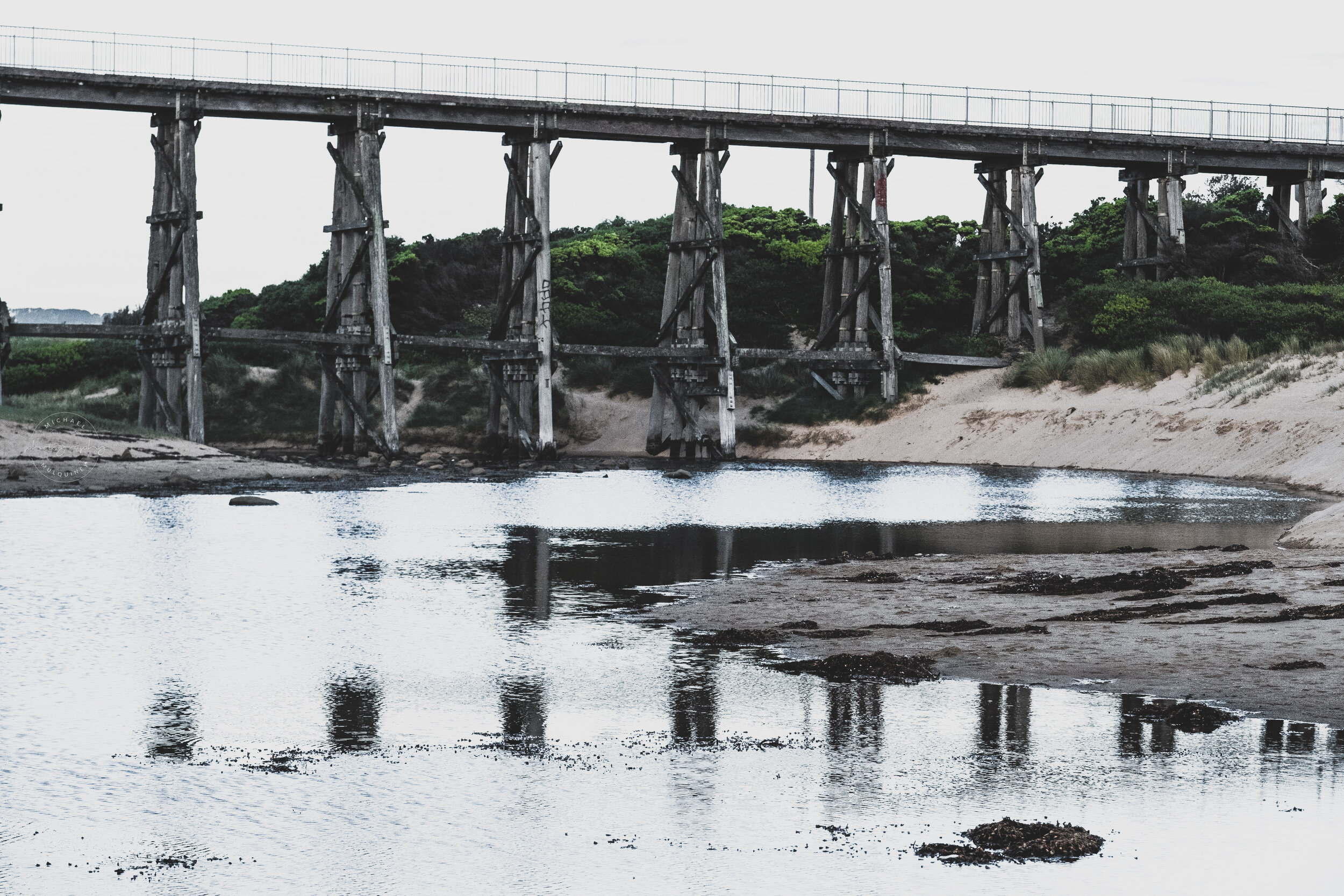 DSCF7335.jpg