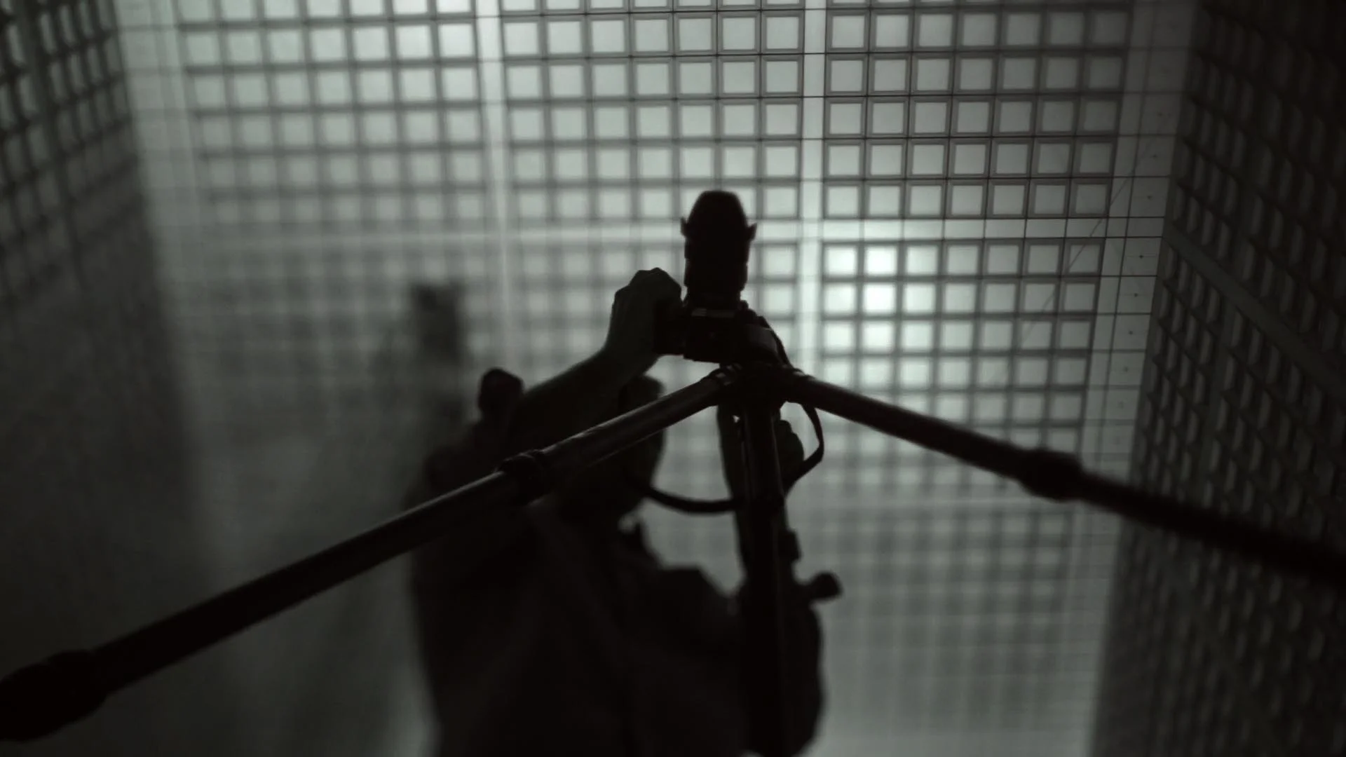 Calling_003.jpg