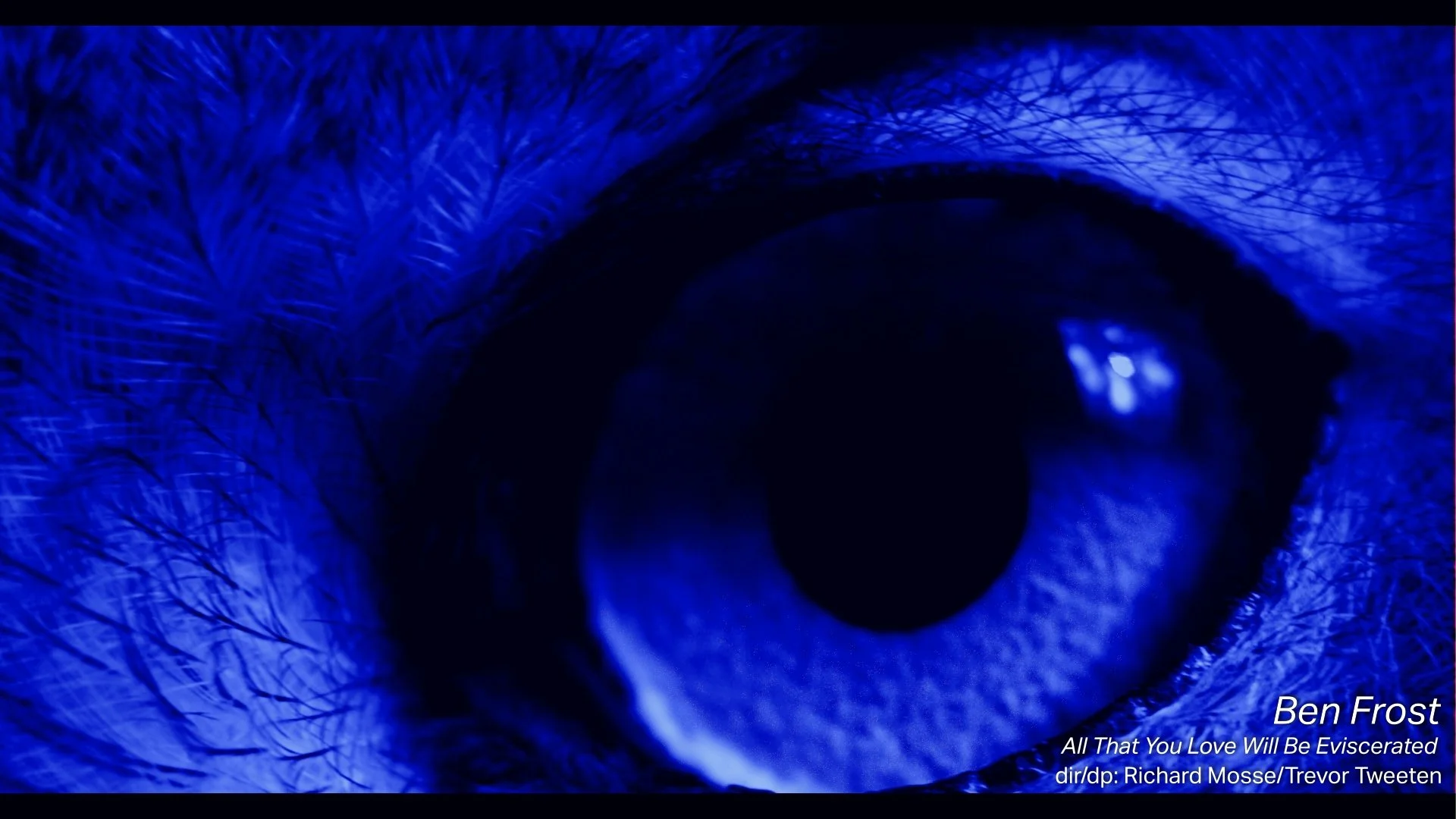 JT_colorist_L3_201115_2.13.2.jpg