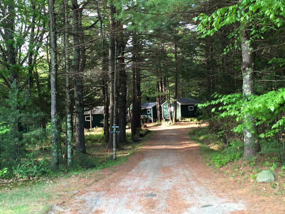 lower area.jpg