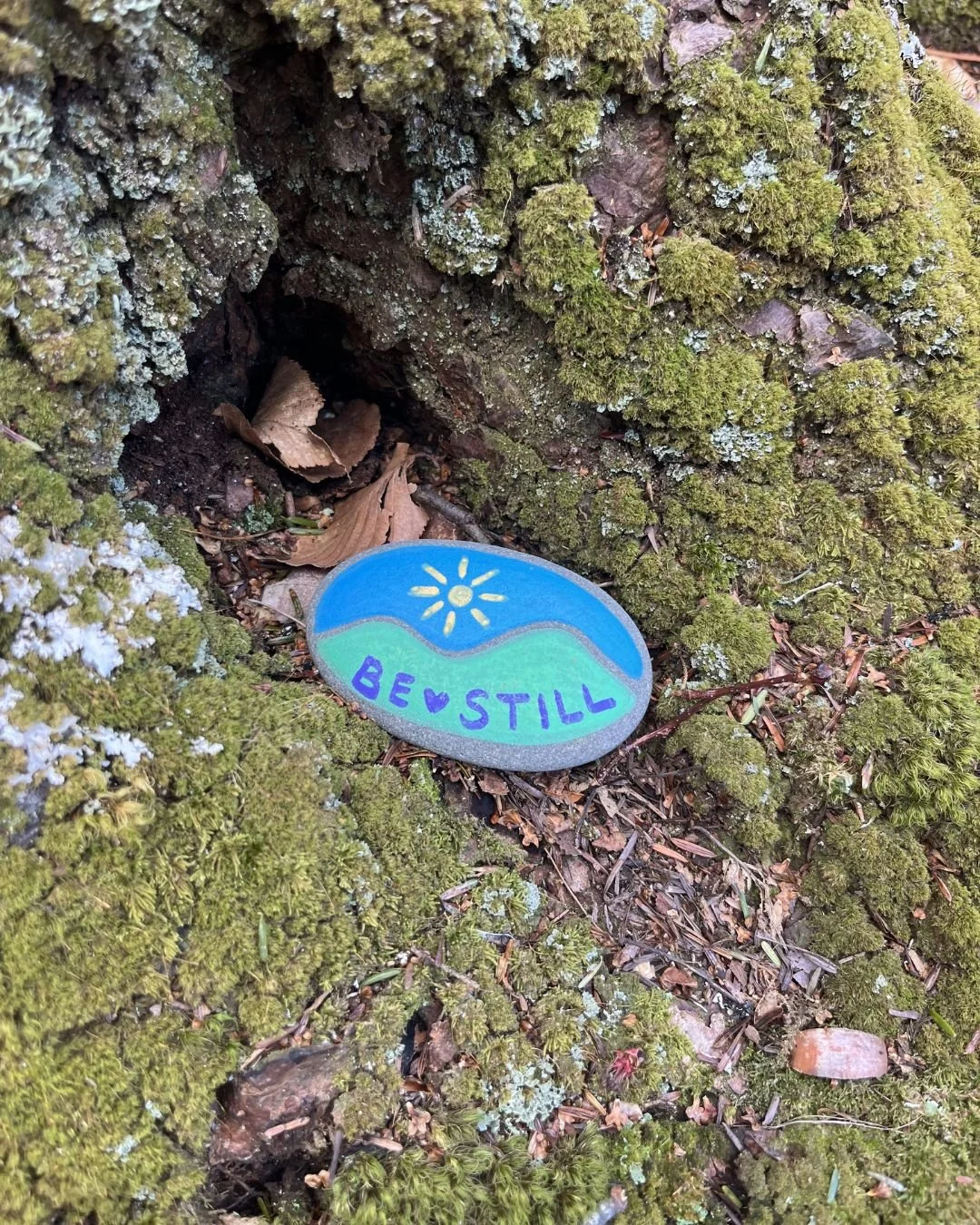 Last Summer&rsquo;s End, our campers and staff painted little rocks with the intention of spreading joy and love to whoever stumbled across them. We still have a few of those sweet messages tucked around the property, and wanted to pass along a littl