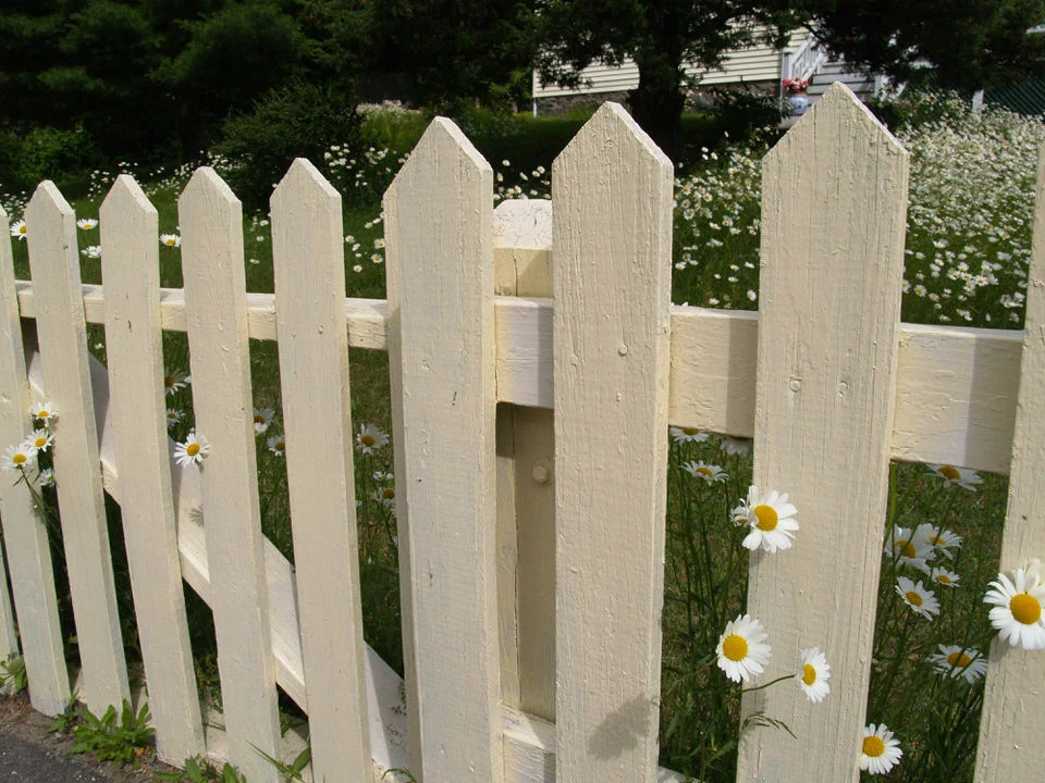 Daisy picket