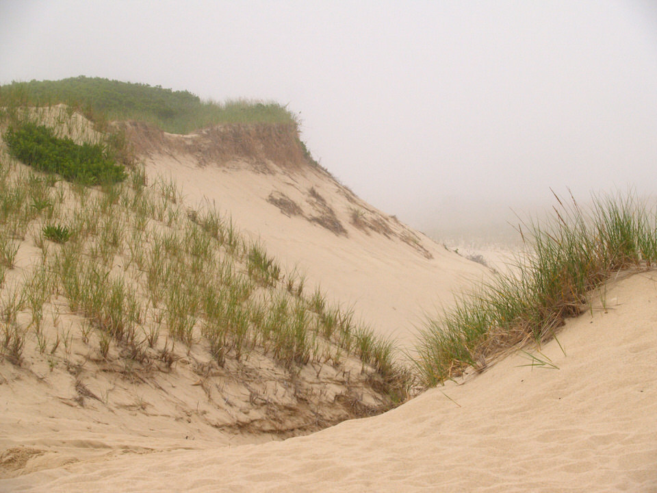 Dune fog