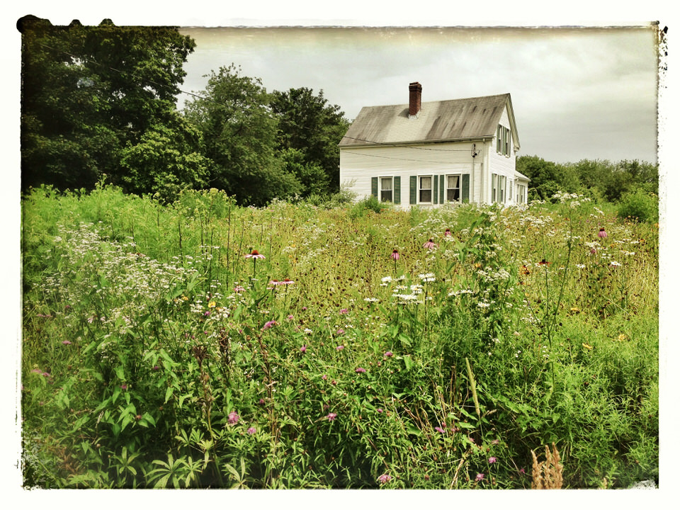 Meadow house