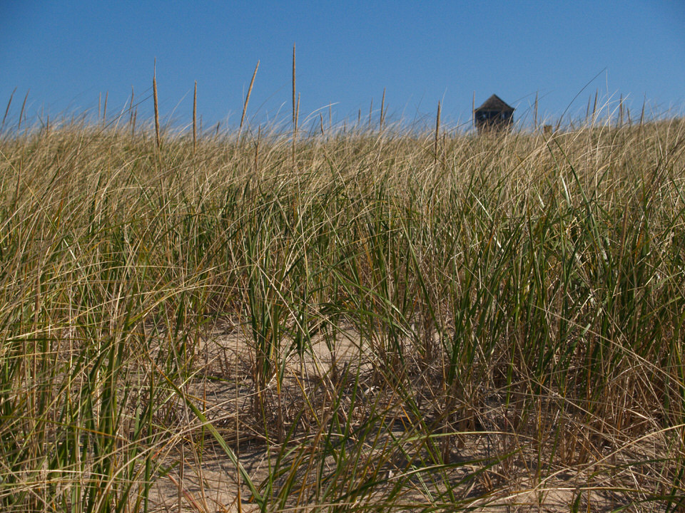 Ptown beach