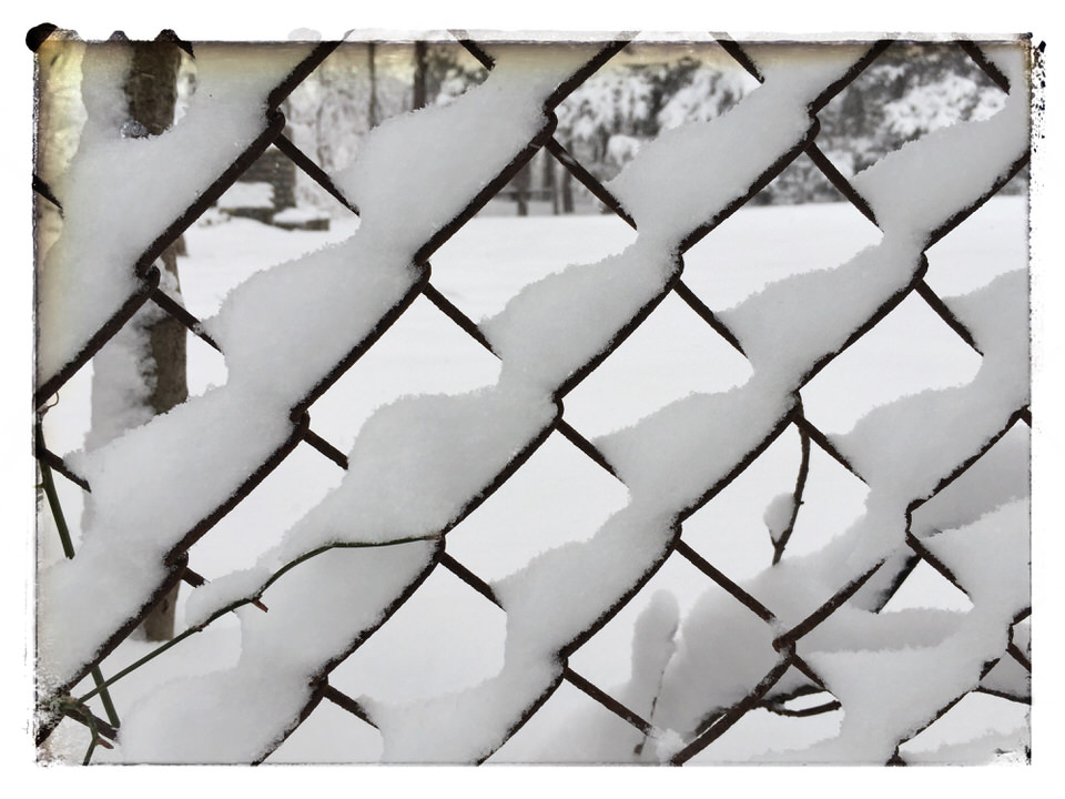 Snow fence