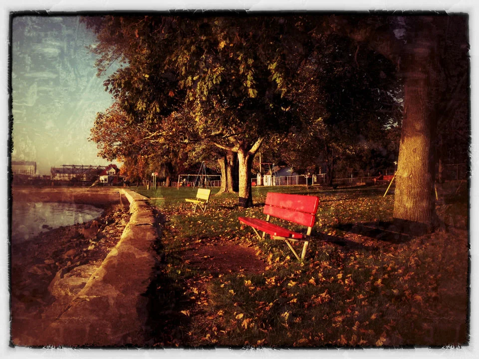 Red bench