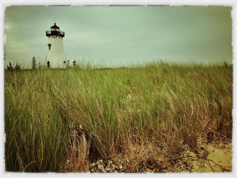 Edgartown Light seagrass