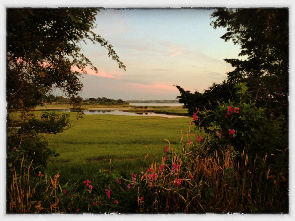 Menemsha marsh