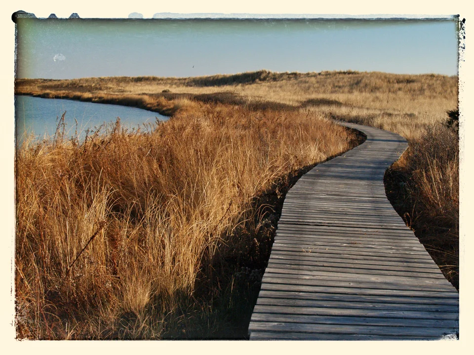 Circuitous path