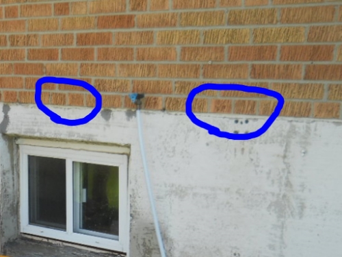 Half bricks are "headers", placed 90 degrees and used to tie the 2 wythes of brick together - and typically indicates solid masonry