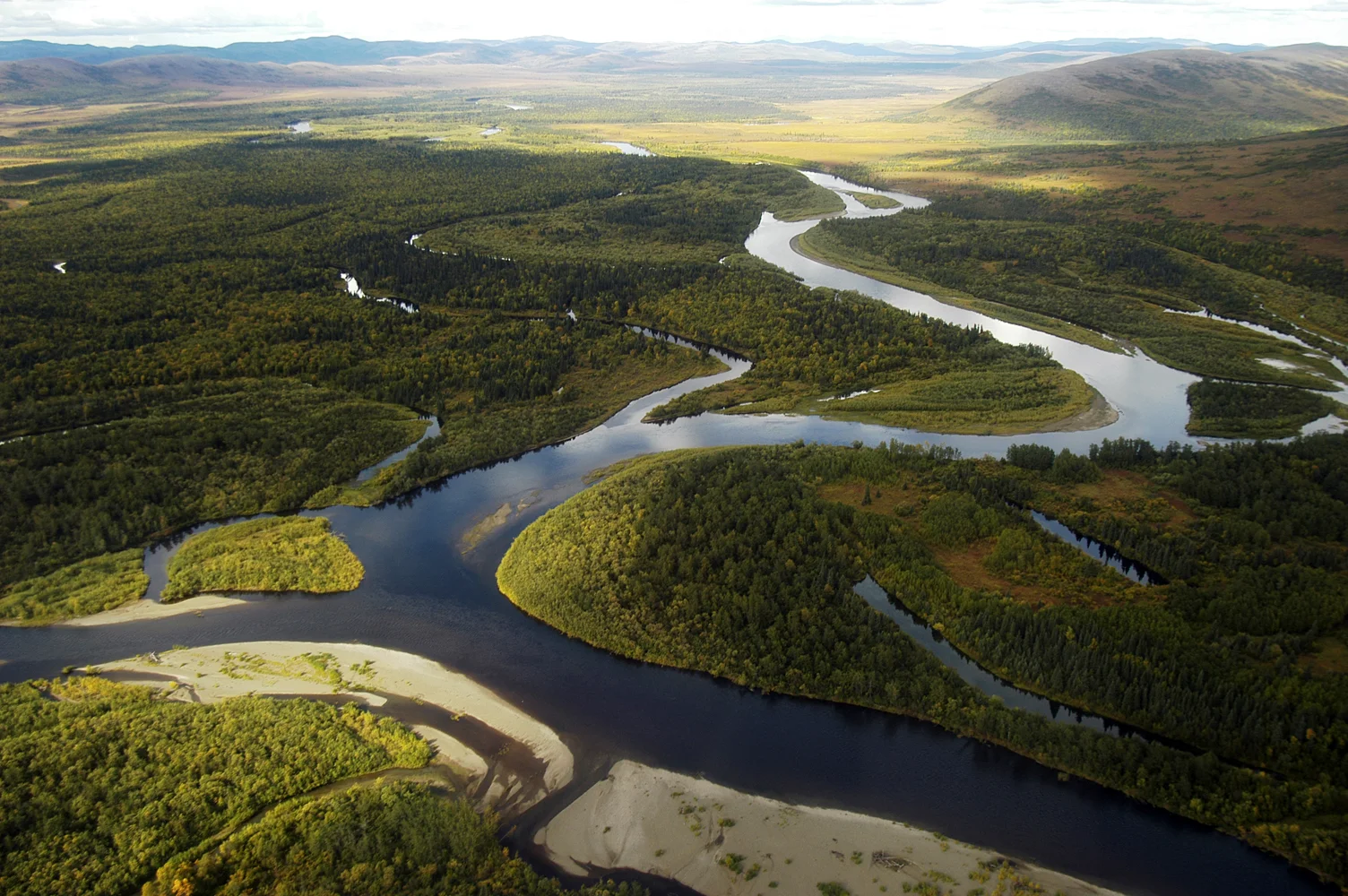 My Turn: Alaska's best rivers are the economic backbone of our future