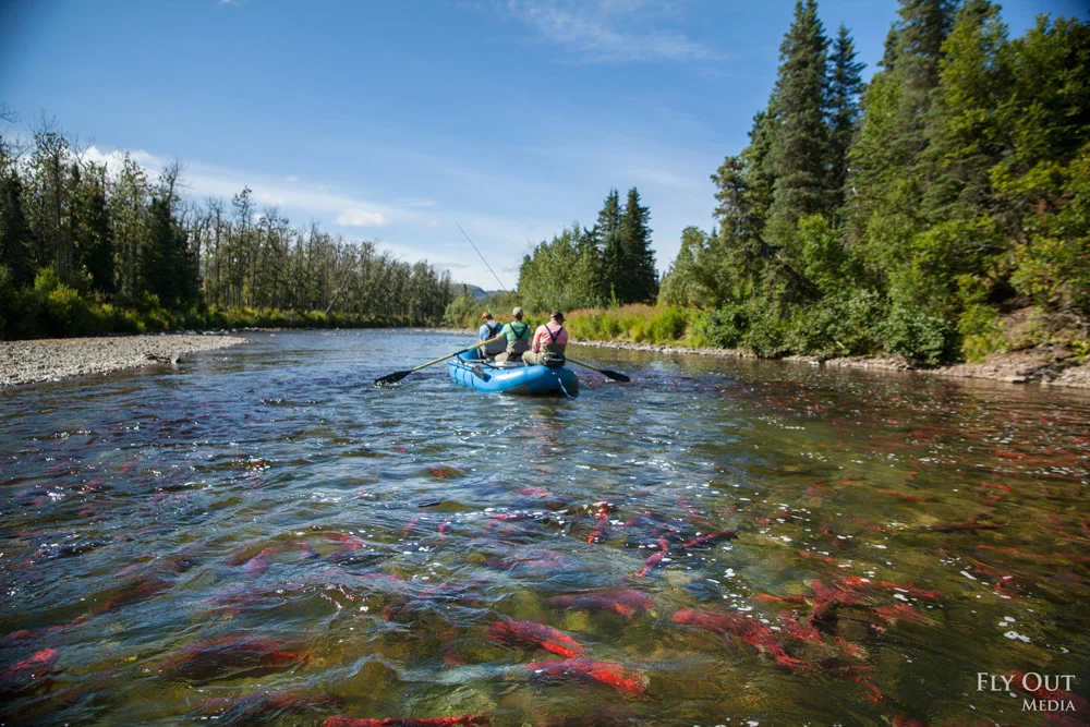 FOR IMMEDIATE RELEASE: Sportsmen to Smith: Don't mess with fish, businesses, jobs of Bristol Bay