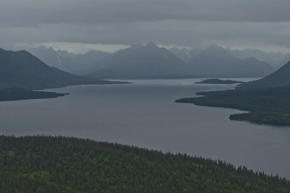 Bristol Bay by Tim Romano