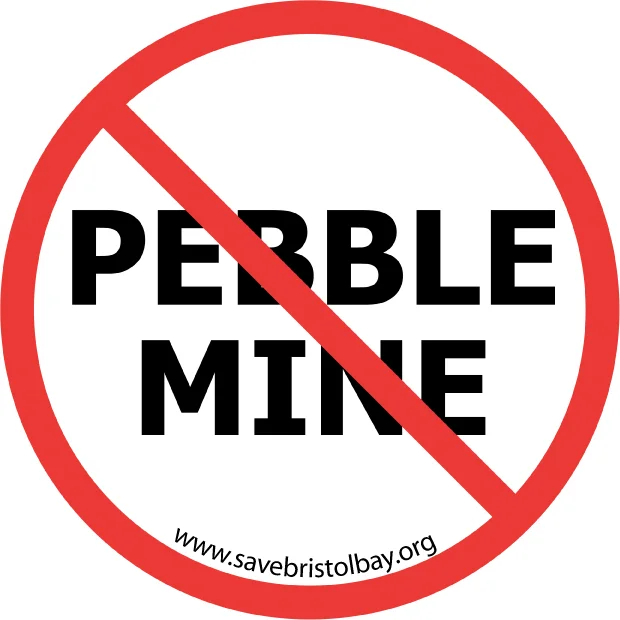 Pebble application shows project posing catastrophic impacts to Bristol Bay salmon