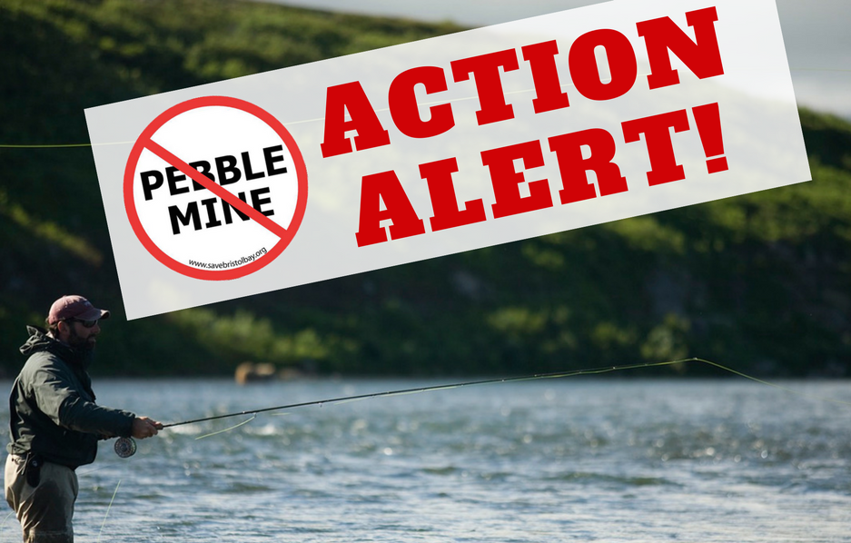 Time to Weigh in on Pebble's Plan is NOW!