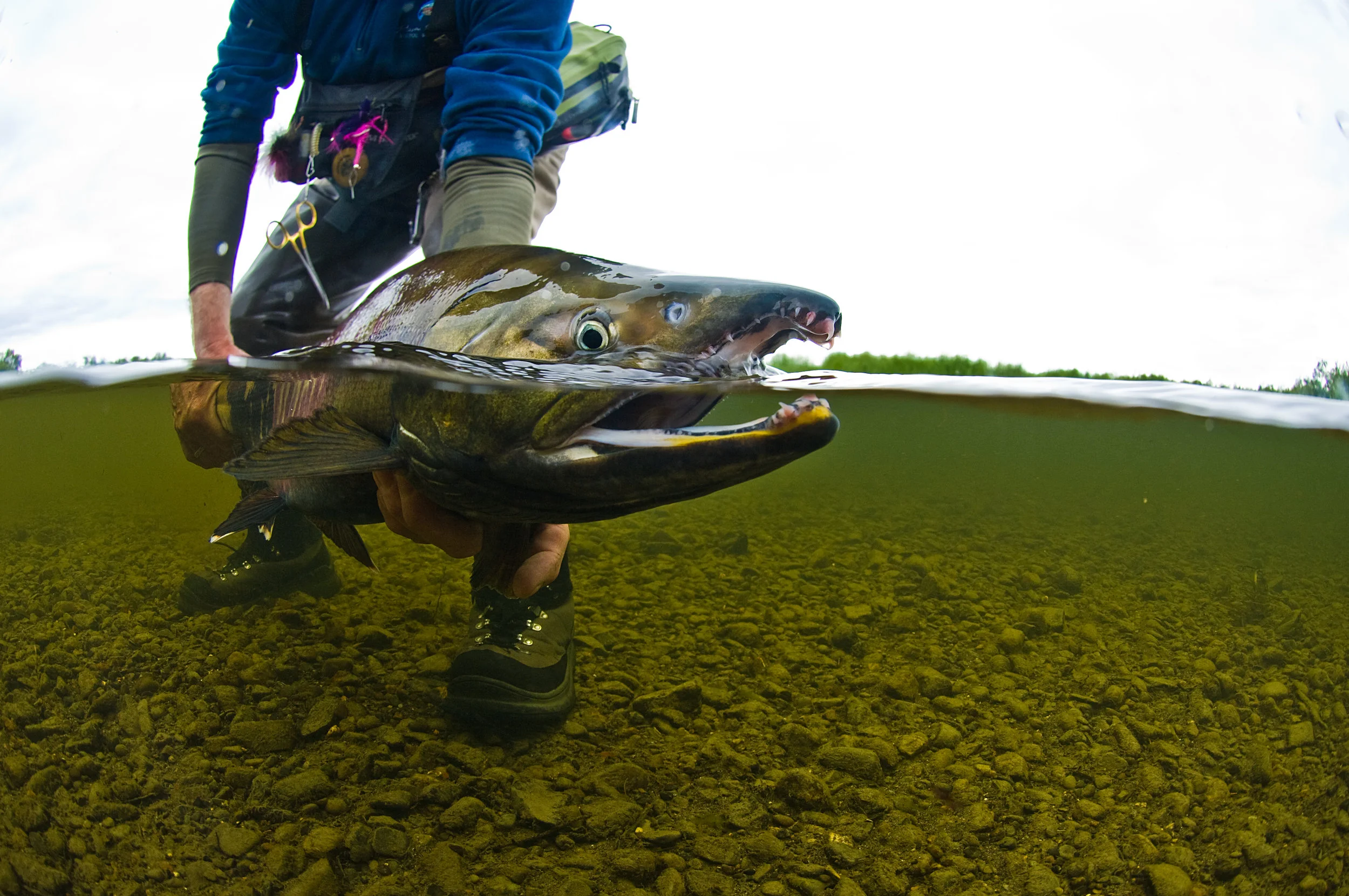 Common misconceptions on Ballot Measure 1