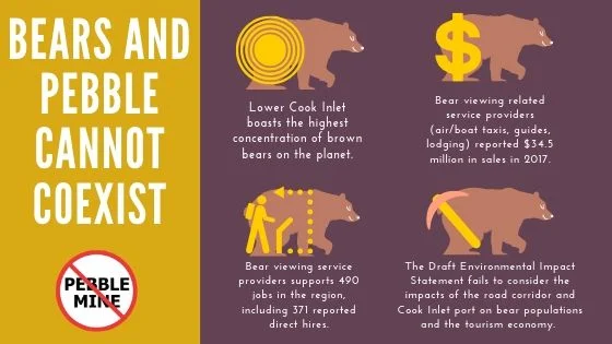 Bear blog.jpg