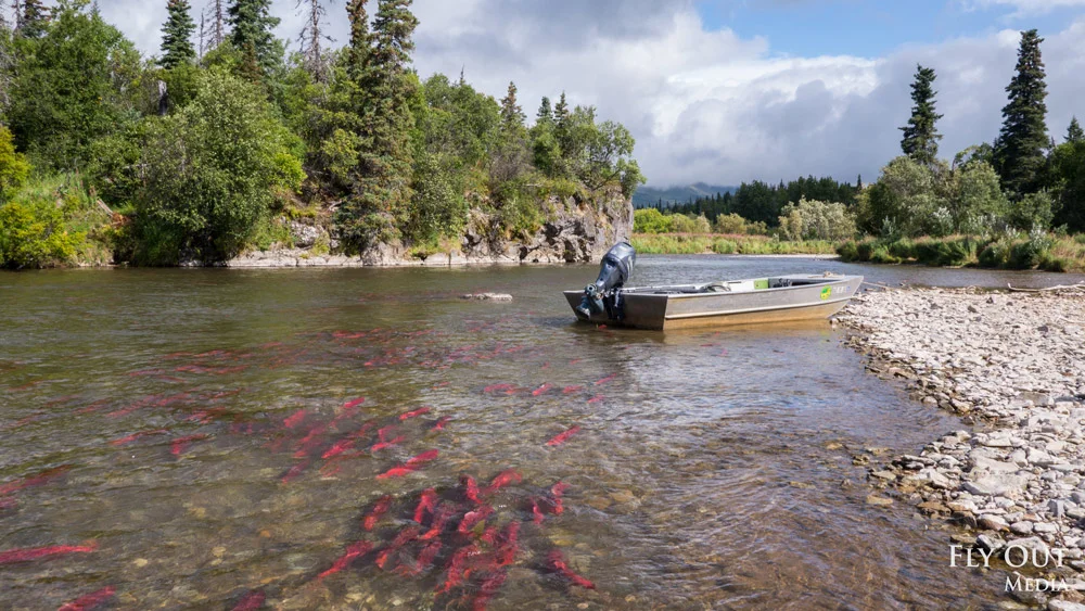 Letter: Nearly 50 sport fishing and recreation businesses support Amendment #90