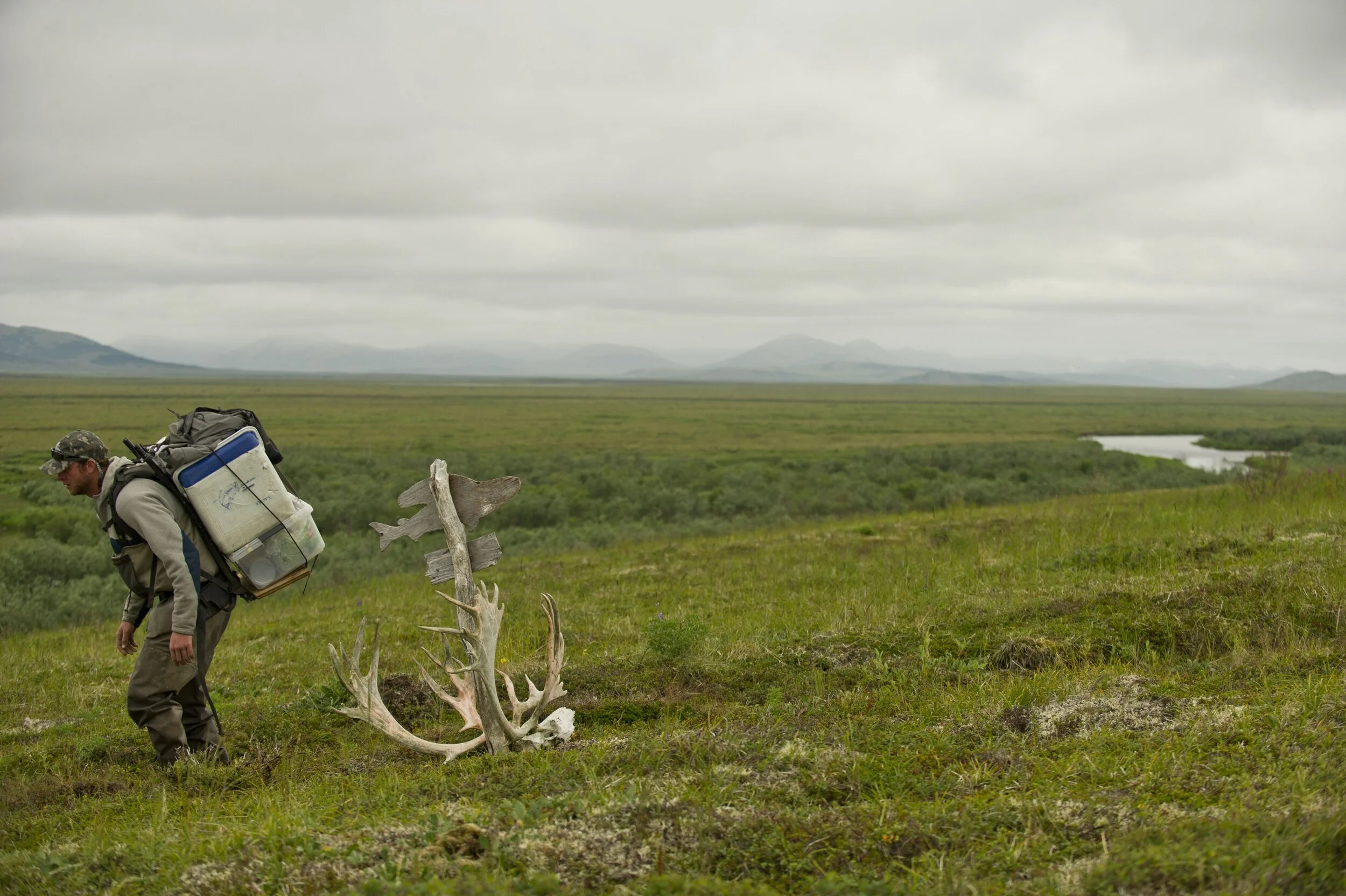 50 Alaska business owners call on Alaska Governor to stop support for Pebble