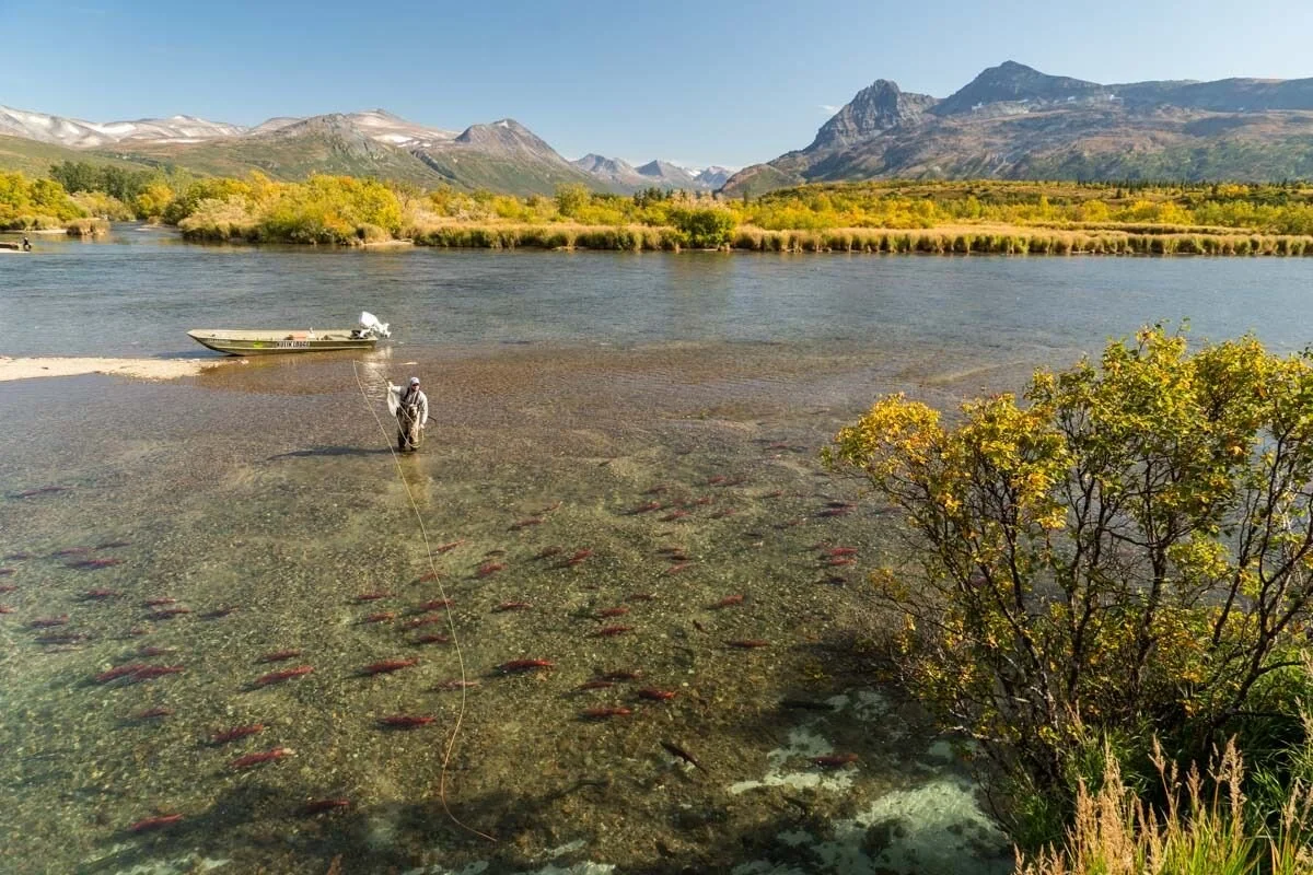Our Appeal for Bristol Bay