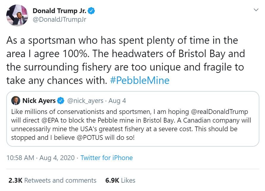 High profile tweets show that stopping Pebble transcends political party lines 