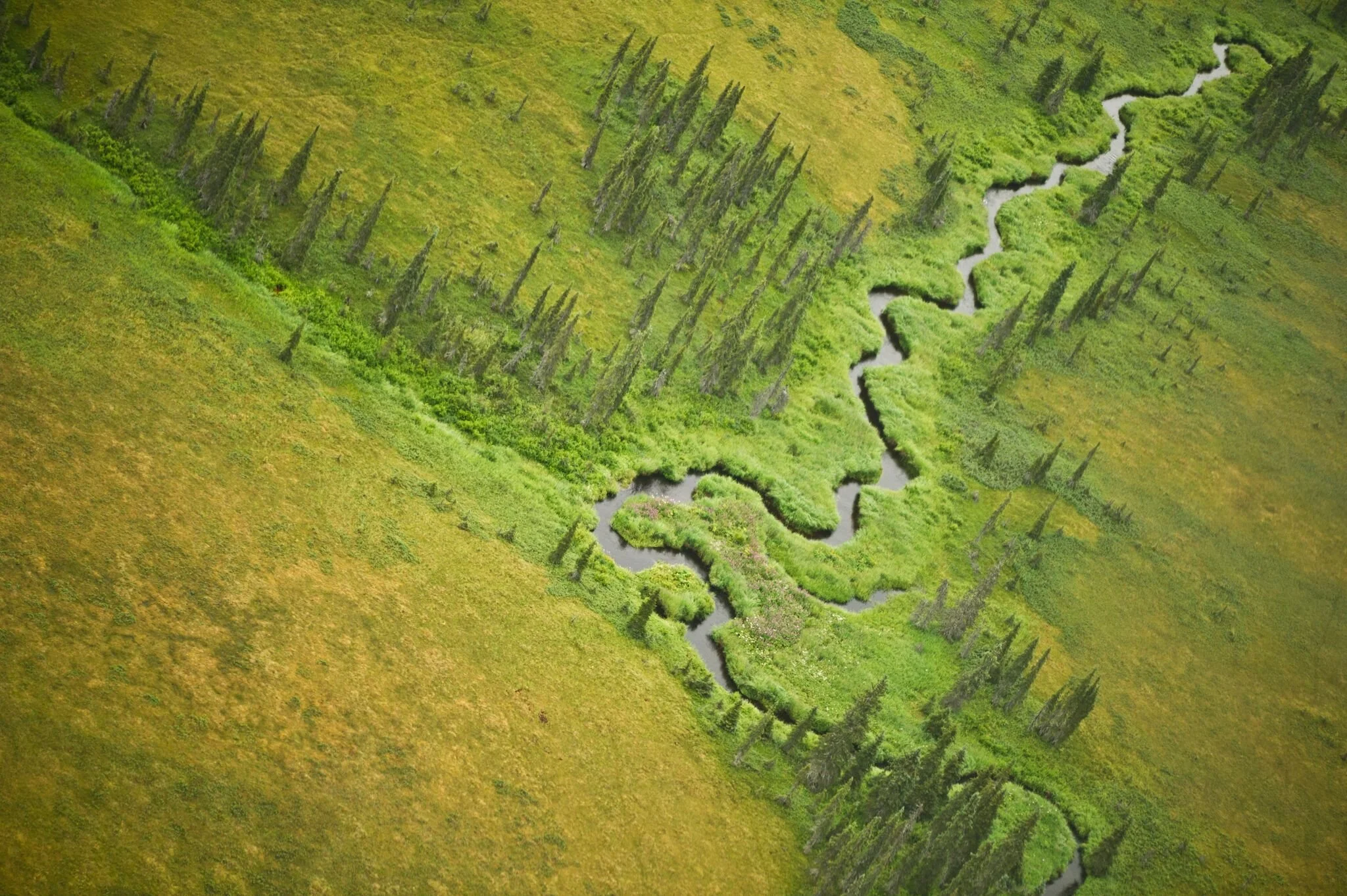 Army Corps says proposed Pebble Mine project cannot be permitted 