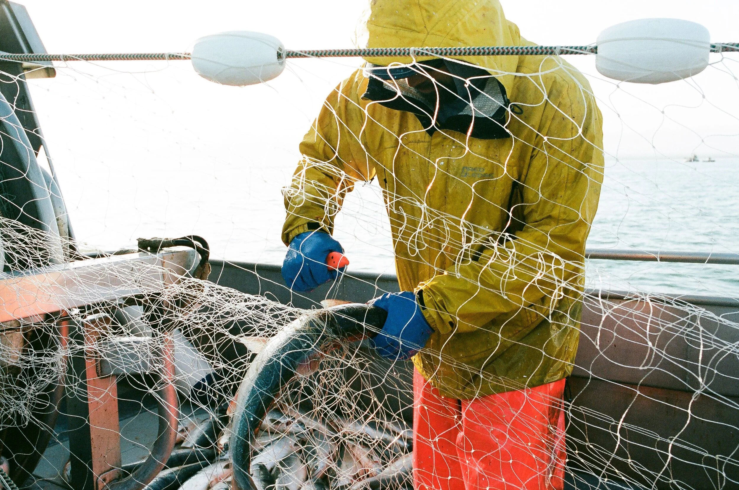 State legislators show that Pebble has no place on the Board of Fisheries