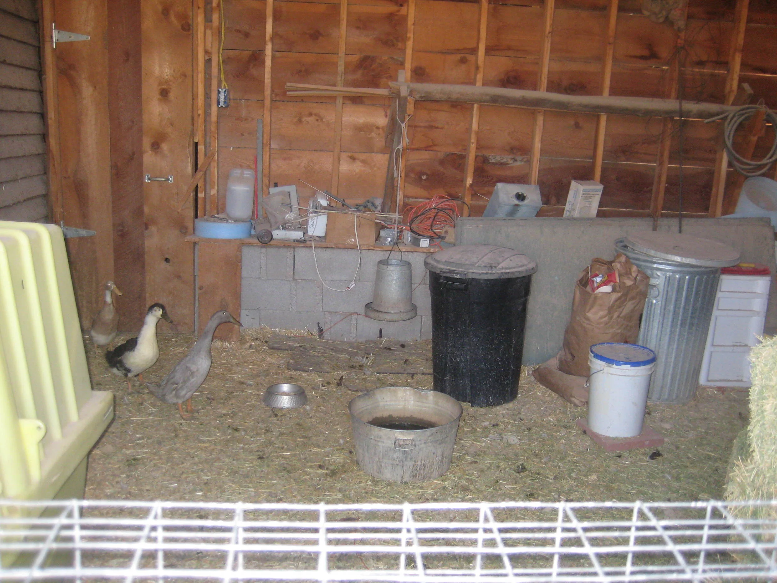 Random 8-01-11 003.JPG