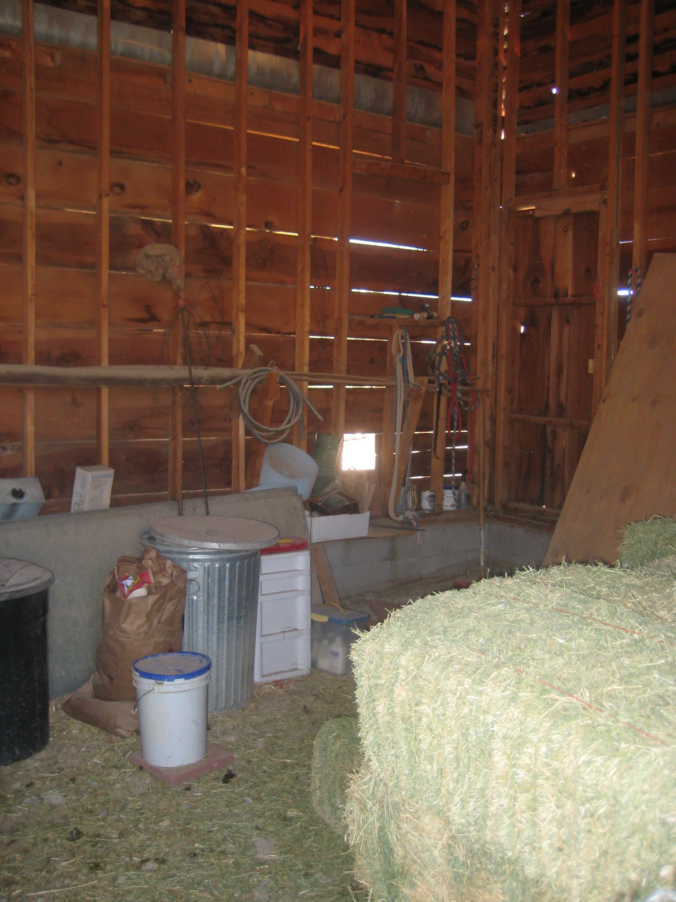 Random 8-01-11 004.JPG