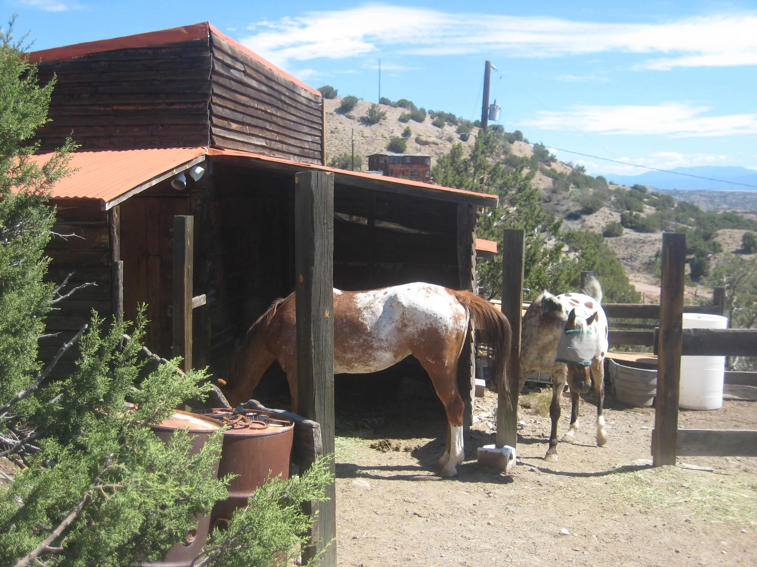 Random 8-01-11 005.JPG