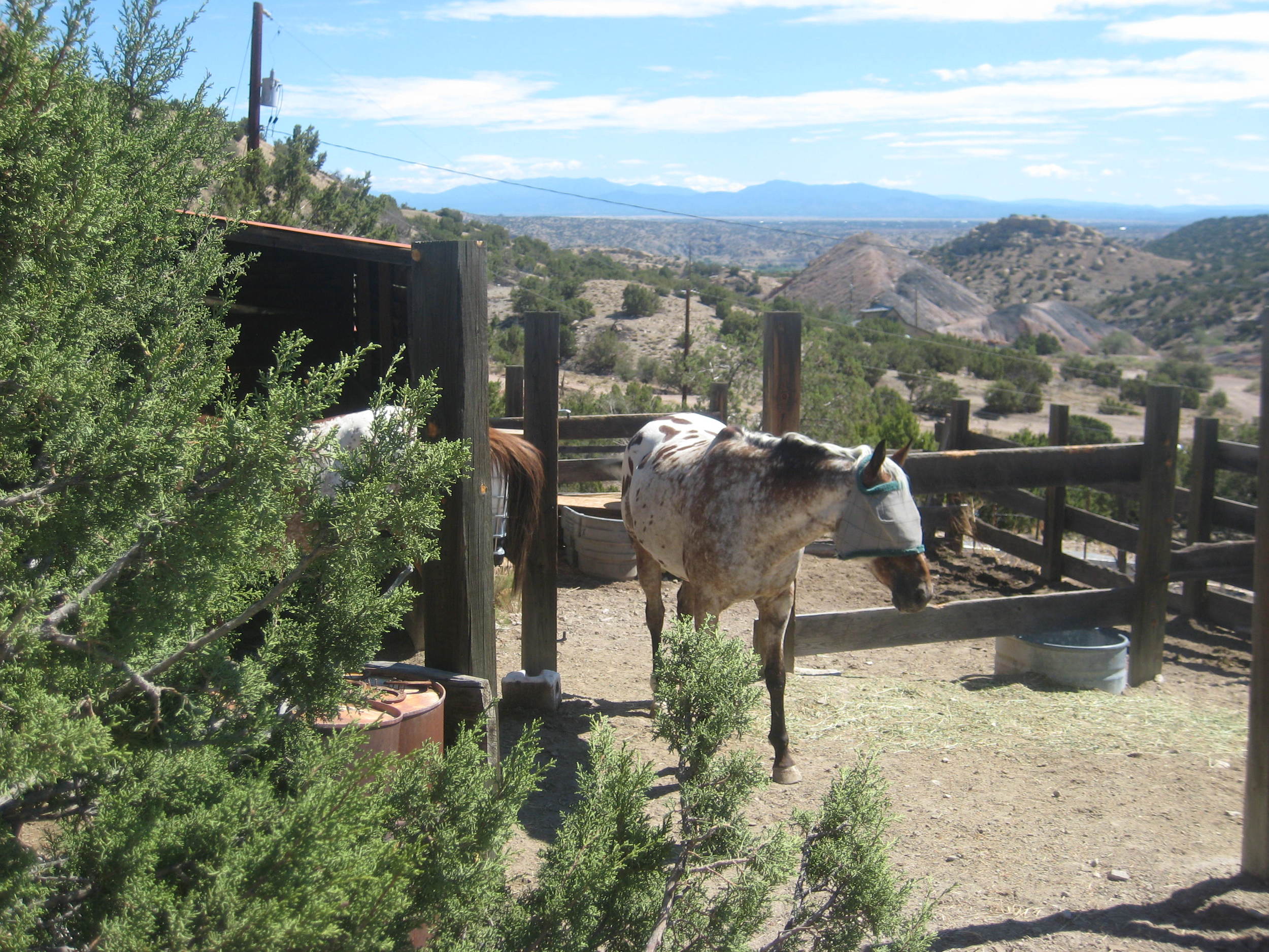 Random 8-01-11 006.JPG