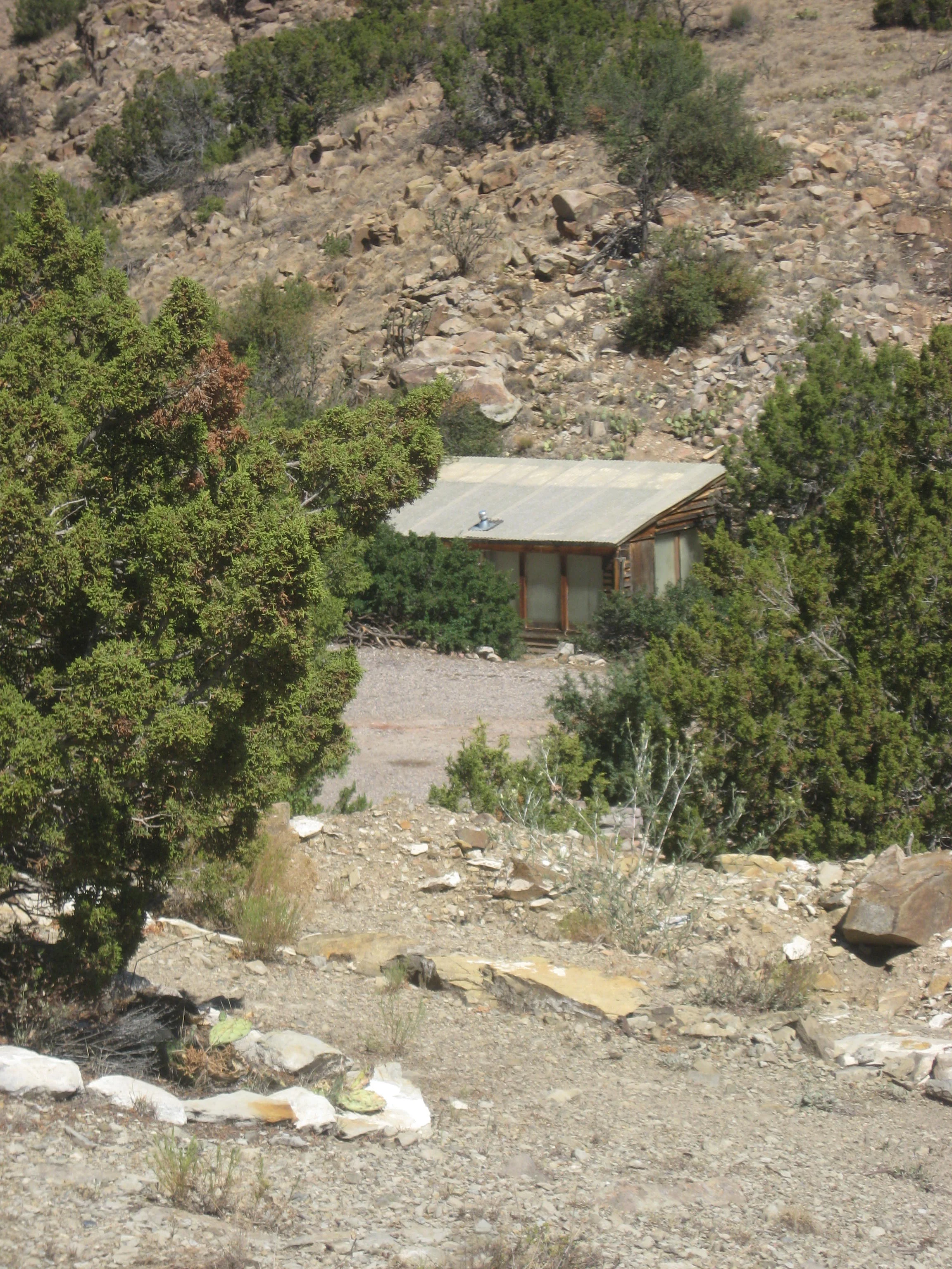 Random 8-01-11 007.JPG