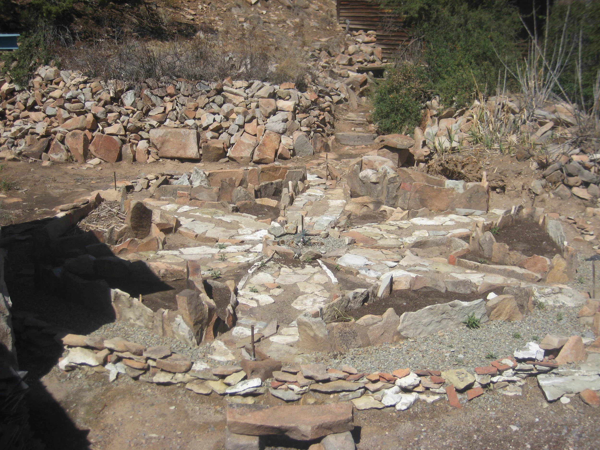 Random 8-01-11 011.JPG