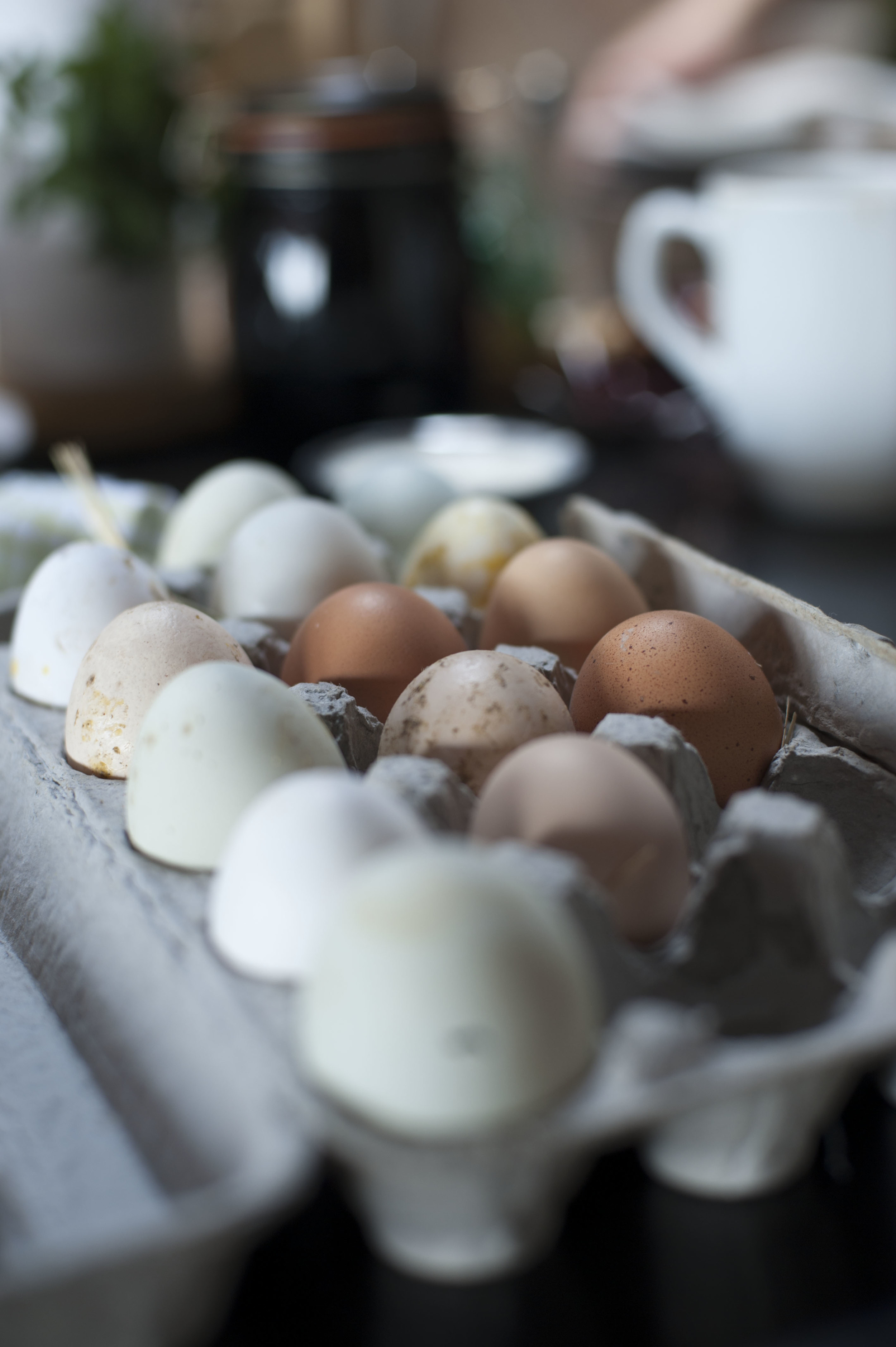 Fresh Lotus Chicken Eggs