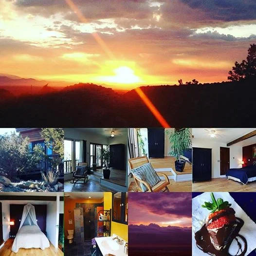 Z Lotus Collage 2.jpg