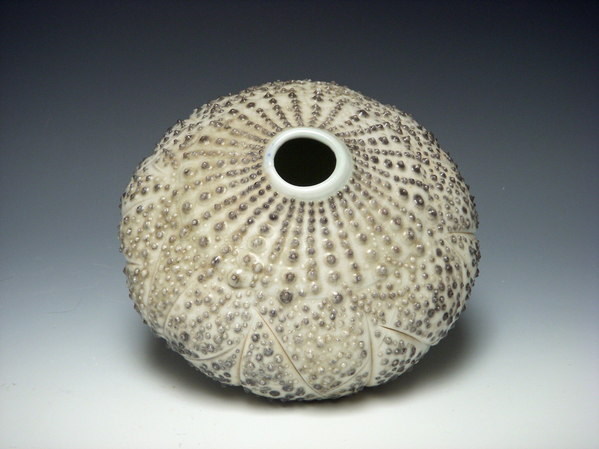 Urchin(a).jpg