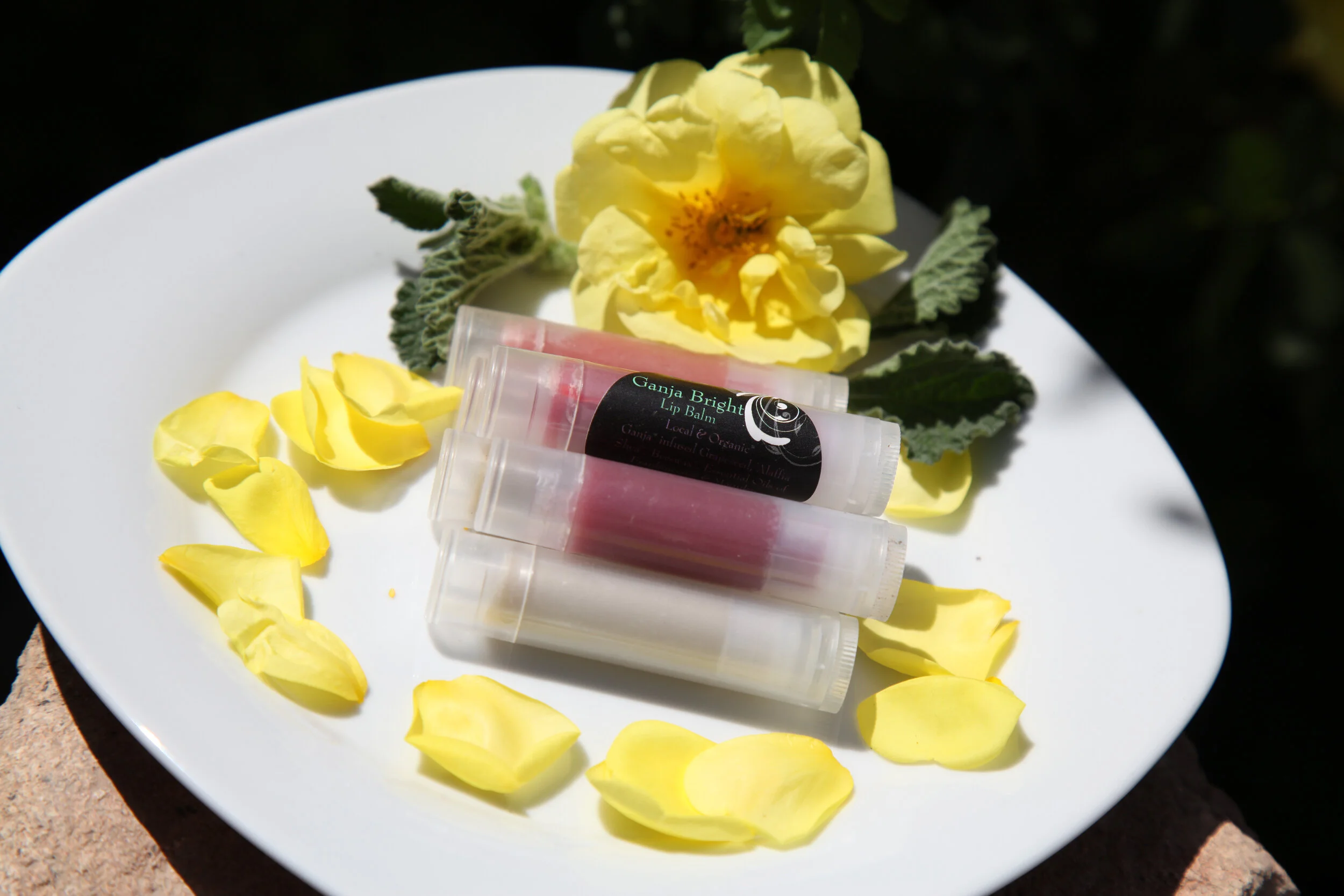 Lip Balm 1.jpg
