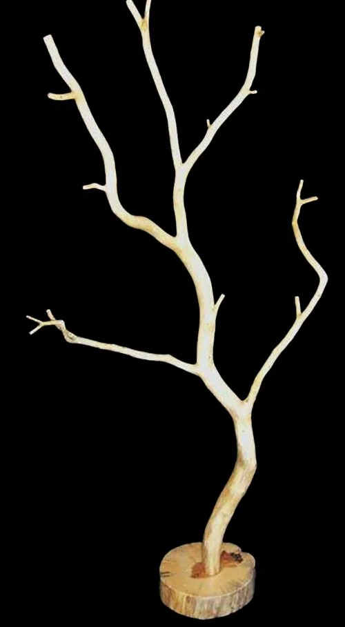 Pine Coat Rack (Tree III).jpg