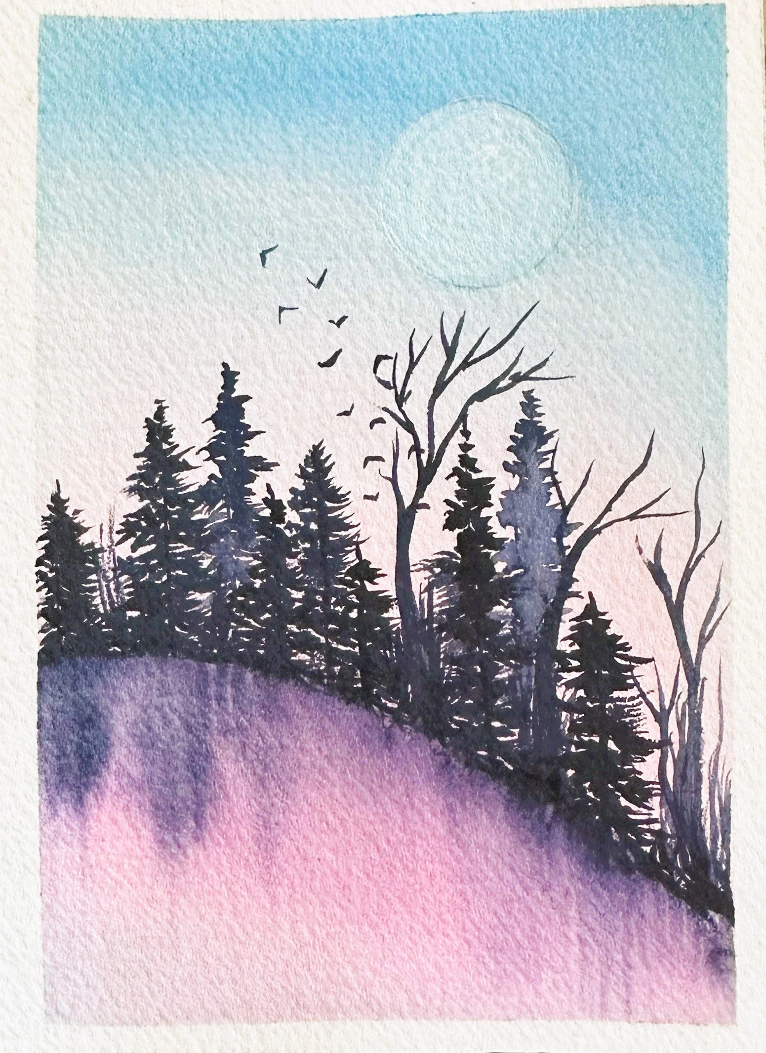Birds in the Sunset (Back).jpg