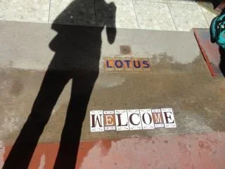 Lotus Love from Rachel.jpg
