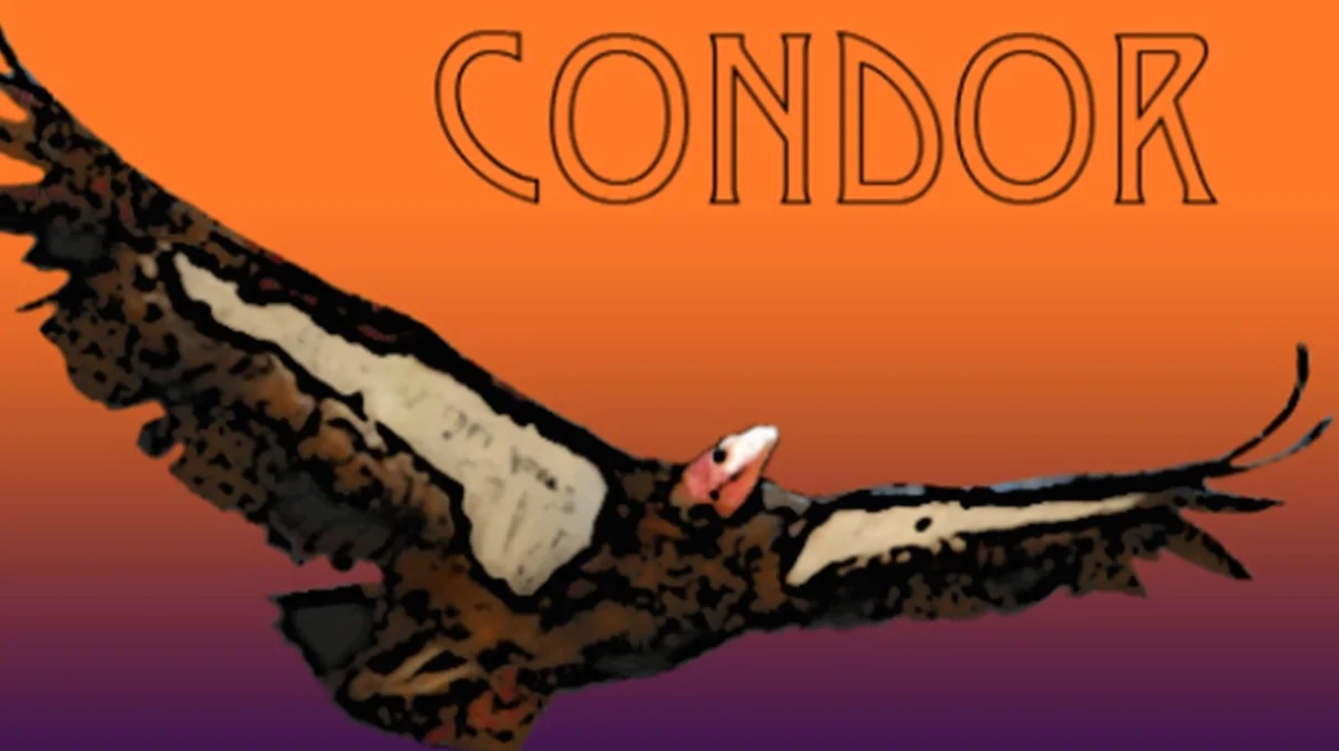 Condor Club - 6 bottles per shipment 20% discount on club selections Pairing card and in depth notes about the wine 20% discount on all additional wine and merchandise purchases in tasting room and online. 25% discount on all case orders Shipments are $115-$220, plus tax and shipping