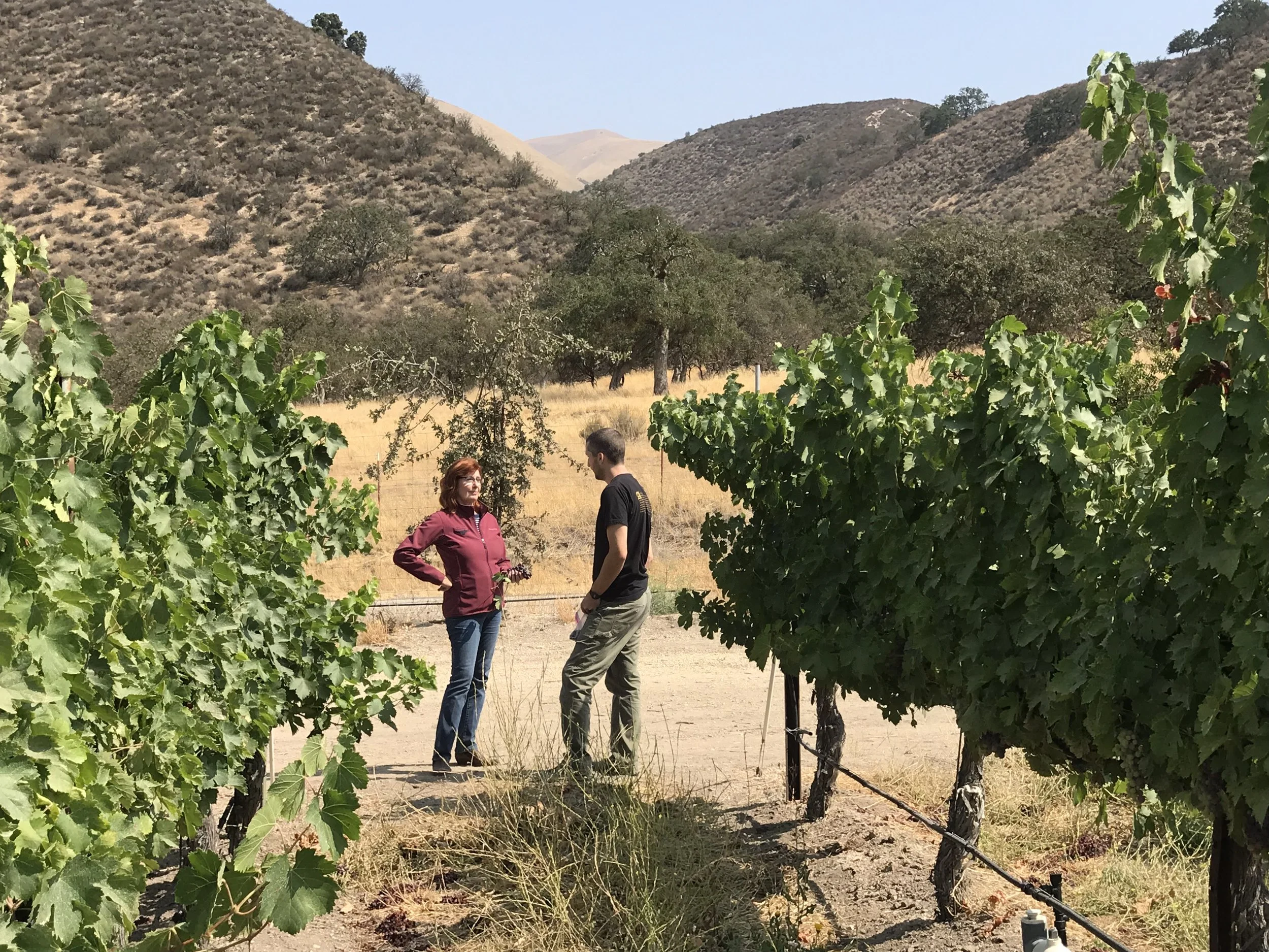 RK_LC Sycamore Flats.jpeg