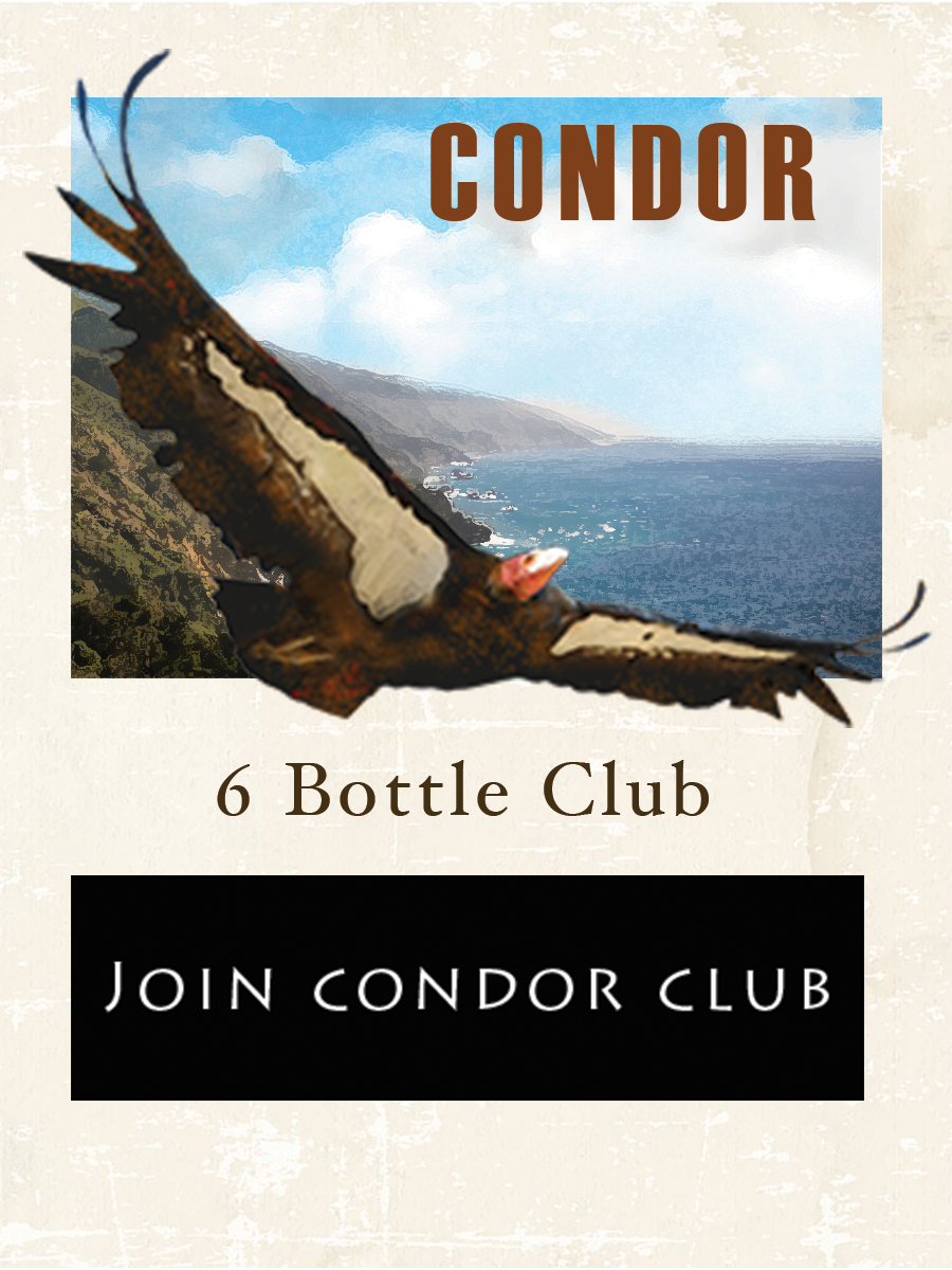 Condor Club x 4-3.png