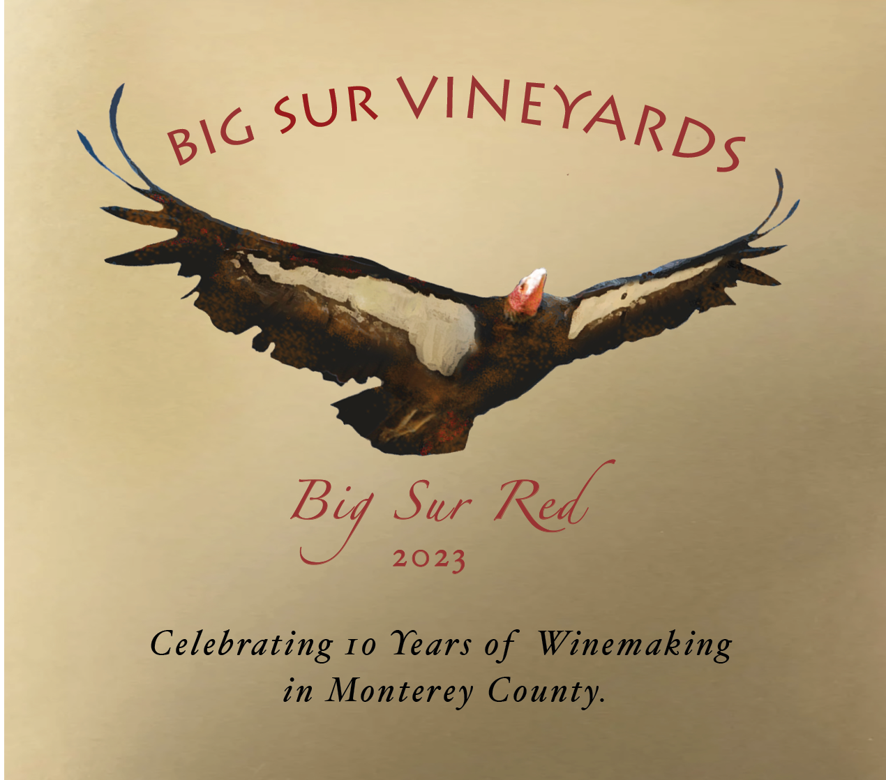 Magnum 2023 BSR Front v4.png